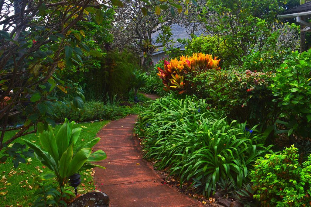 Banyan Tree B&B Retreat Makawao Exterior foto